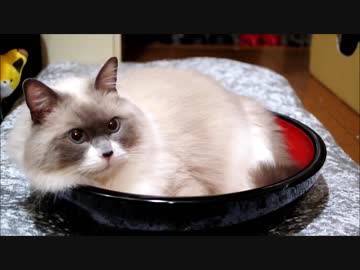 冷たいお蕎麦のおいしい季節ですね