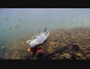 伊19 潜水艦 魚の群れに突入