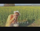 【れみ】アイネクライネ【踊ってみた】