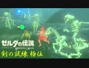 【実況】新たな冒険へ！ゼルダの伝説 ブレスオブザワイルド 剣の試練リベンジ【極位前編】