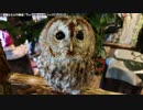 【生海月】なまくらじお【2019.5.6】