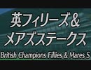 【ウイニングポスト８】トウカイテイオーの仔でＧⅠ勝利を目指す part125