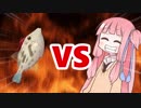 茜ちゃんVSウマヅラハギ