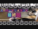 【実況】スーパーマリオランドやろうぜ！　後編ッ！(最終回)