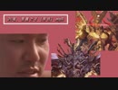 24歳、覚醒です（特技）.mp8