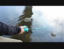 【釣り・VLOG】荒川・秋ヶ瀬橋、取水堰付近でカストキングのベイトロッド＆ベイトリールでバス釣り