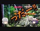 【アクアリウム】２くらいから始める水草水槽 Part.2　/幻想水景記.08