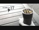 プロジェクト南米横断 Ep17 - マナウス