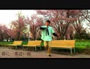 【春に一番近い街】踊ってみた【ふじも】桜の前で