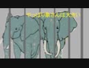 zoo