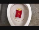 マクドナルドのハンバーガーとフライドポテトをトイレに流してみた２