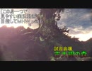 【この身一つで】見やすい実況動画目指してＭＨＷ Part6