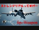 Ace Combat 7 Multiplayer65  バトルロイヤル  A-10C