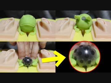 【ASMR】耳の近くでカエルが卵を産みます【音フェチ】