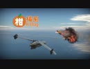 〚WarThunder〛柑橘系キルフラグPart.2