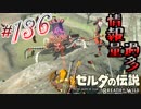 新作ゼルダを風タクしかやったことないうp主がプレイしてしまった part136