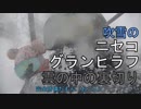 【仲間とスノボ・スキー#05】視界悪すぎ！雲の中は大吹雪！ニセコグランヒラフ編（JVC視点）【北海道ニセコアンヌプリ国際スキー】【蒼い世界の歩き方】
