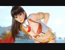 DoAX Venus Vacation :: Leifang Volleyball Winning Poses (Stella Taurus SSR) malfunction and lotions