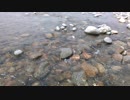 自然音　せせらぎ