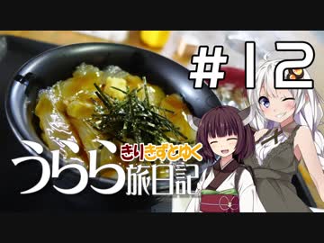 【きずきり車載】うらら旅日記#１２『行くぜ！東北！２０１９春⑤～深浦・鰺ヶ沢編～』
