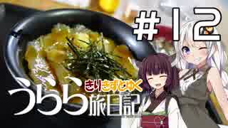 【きずきり車載】うらら旅日記#１２『行くぜ！東北！２０１９春⑤～深浦・鰺ヶ沢編～』