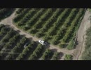 4X4-in-Vinyard　生田真崇