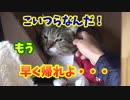 恐怖のGW完結編！最後にまた子供怪獣現る！