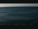 The-Surfers　生田真崇