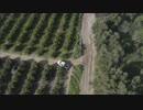 4X4-in-Vinyard　生田真崇