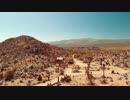 California-Desert　生田真崇