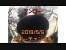 ボギー大佐の言いたい放題　2019年05月06日　21時頃　放送分