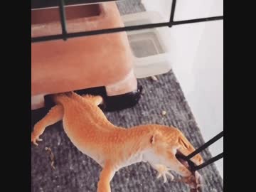 食らいついたら離さない