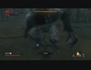 ＃15【SEKIRO/隻狼】なっくーによるセキロ実況！人生初の死にゲー！15日目【SEKIRO: SHADOWS DIE TWICE】