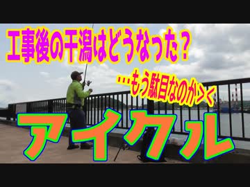 釣り動画ロマンを求めて 250釣目（アイクル (海づりコーナー）