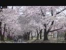 さとうささらと花めぐり
