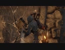 [RISE OF THE TOMB RAIDER]春になりましたが探検家になってみる part22