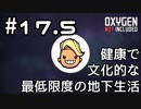 【ゆっくり実況】健康で文化的な最低限度の地下生活 #17.5 解説回【Oxygen Not Included】
