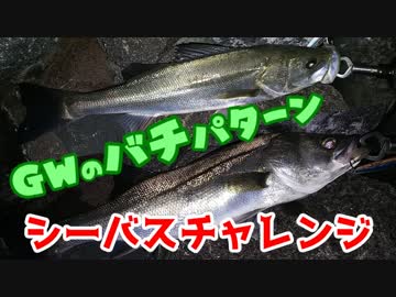【湾奥釣行記】シーバスチャレンジ Ver.19.05.02_京浜島緑道公園