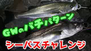 【湾奥釣行記】シーバスチャレンジ Ver.19.05.02_京浜島緑道公園
