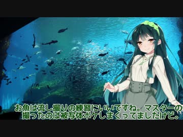 東北ずん子とおひとり様　うみの杜水族館編