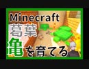 葛葉、マイクラで亀を育てる