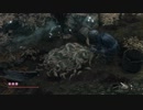 【SEKIRO：隻狼】火薬庫のちょび髭による忍日誌Part29【探索：水生村】