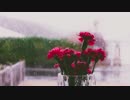 Pexels Videos 1847910　生田真崇