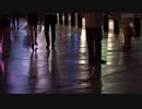 Pexels Videos 1535670　生田真崇