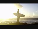 Pexels Videos 1093664　生田真崇