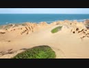 Pexels Videos 1739013　久保田雅一郎