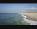 Pexels Videos 1246161　久保田雄一郎