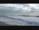 Pexels Videos 1777362　金本朝樹