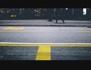 Pexels Videos 1510092　金本朝樹