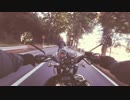 Pexels Videos 1333384　金本朝樹